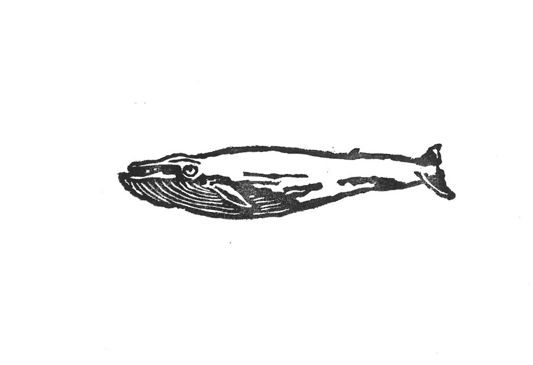 Whale stamp print