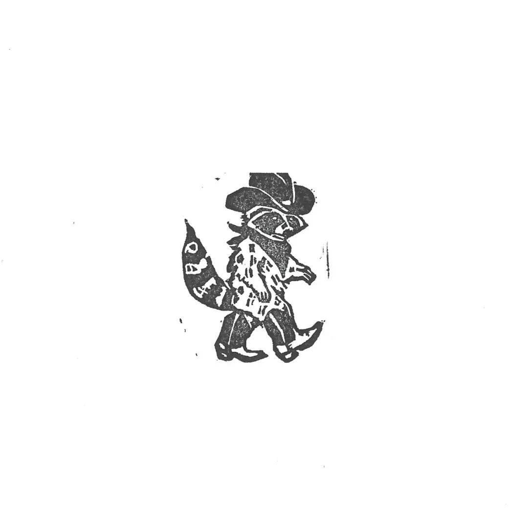 Raccoon stamp print