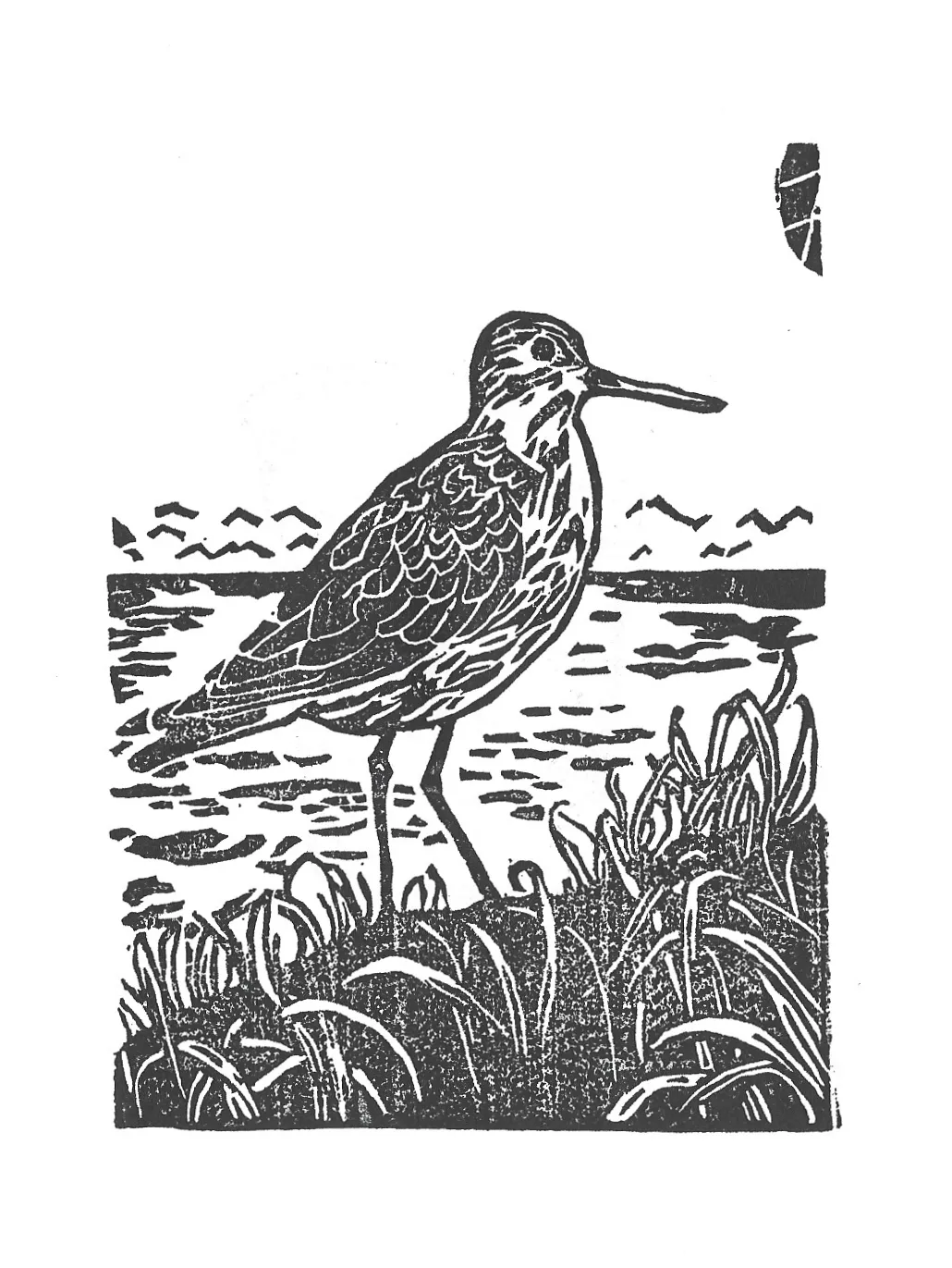 Bird stamp print