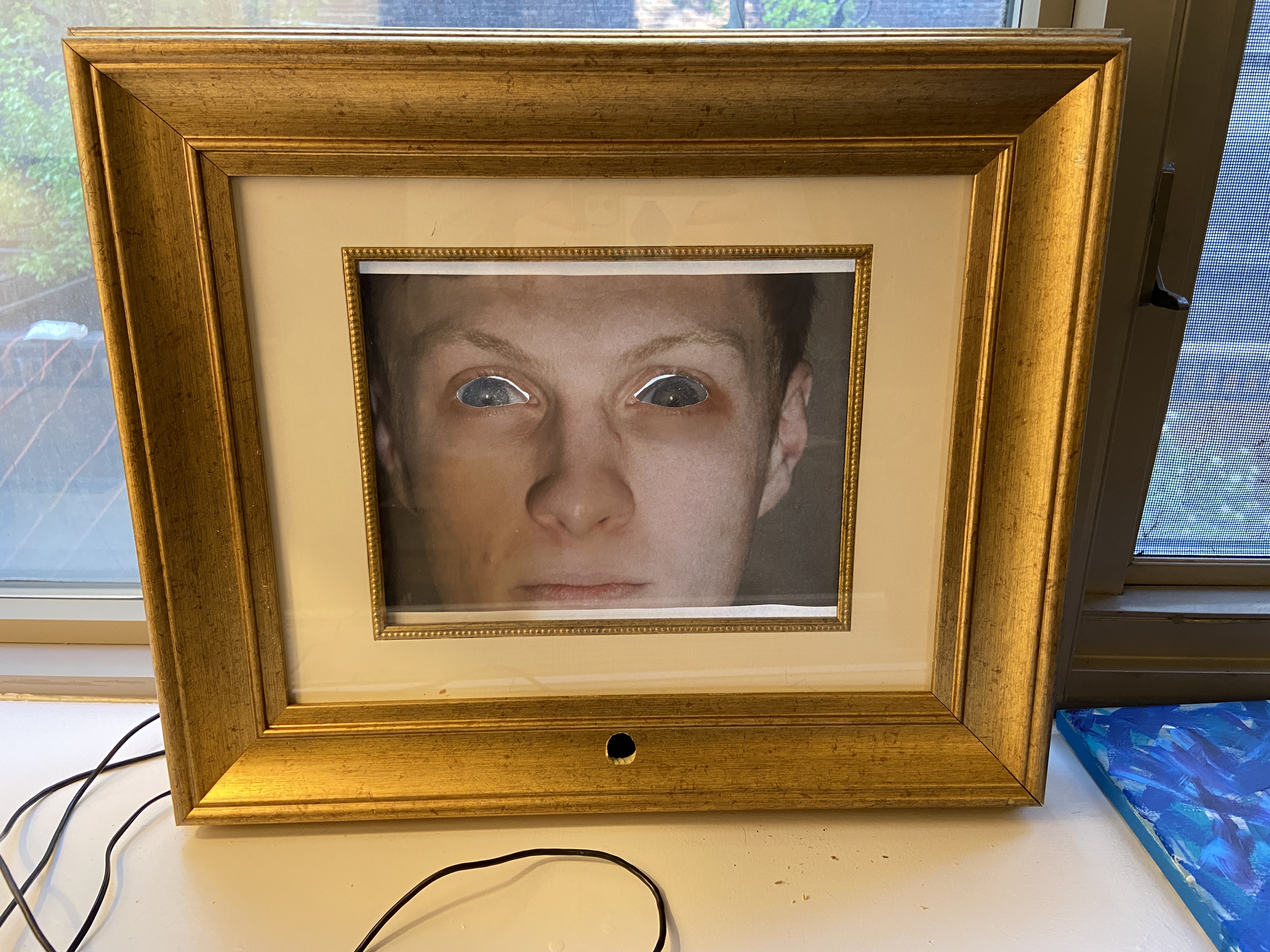 Facial Recognition Servo Tracker